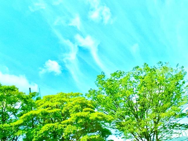 春の風